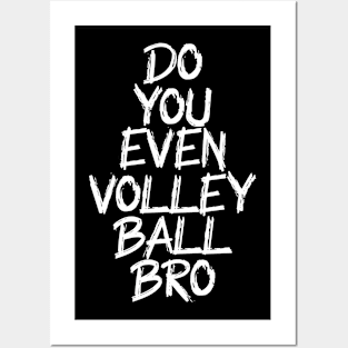 do you even volleyball bro Posters and Art